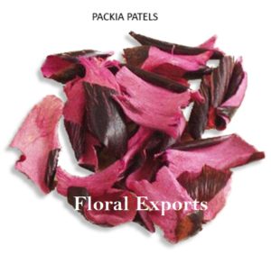 PACKIA PATELS