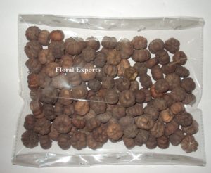 PUTKA PODS NATURAL