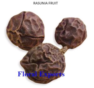 RASUNIA FRUIT