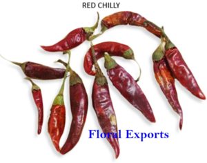 RED CHILLY