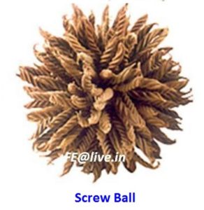 SCREW BALL