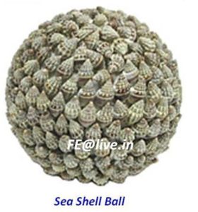 SEA SHELL BALL