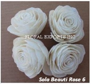 SOLA BEAUTI ROSE 6 CM.