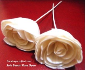 SOLA BEAUTIROSE OPEN