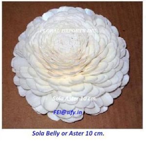 SOLA BELLY 10 CM.