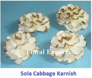 SOLA CABBAGE KARNISH