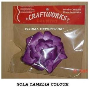 SOLA CAMELIA 10 CM. COLOUR IN GIFT PACK