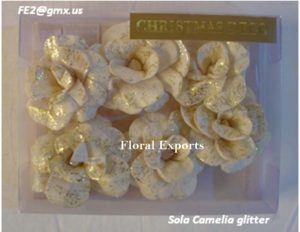 SOLA CAMELIA GLITTER