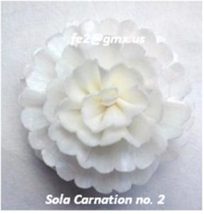 SOLA CARNATION NO. 2