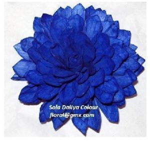 SOLA DALIYA COLOUR 5