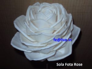 SOLA FOTA ROSE F