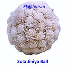 SOLA JINIYA BALL