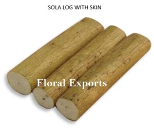 SOLA LOG WITH SKIN