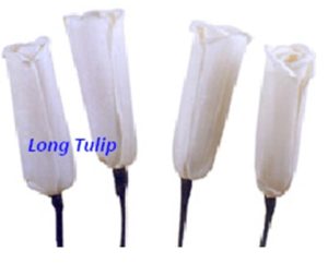 SOLA LONG TULIP