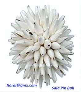 SOLA PIN BALL 10 CM.