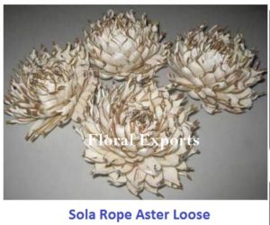 SOLA ROPE ASTER LOOSE