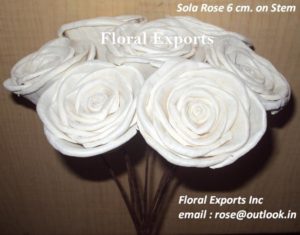 SOLA ROSE 6 CM. ON WIRE STEM White