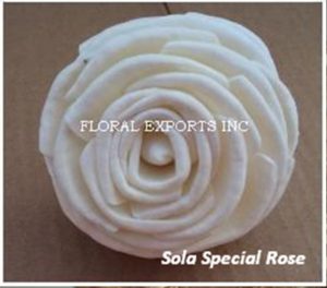 SOLA ROSE SPECIAL