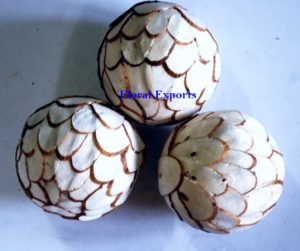 SOLA SLICE BALL 6 CM. LOOSE (Normal Quality) K