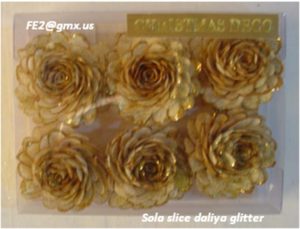 SOLA SLICE DALIYA GLITTER