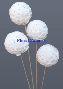 SOLA TIP BALL 6 CM. ON STICK