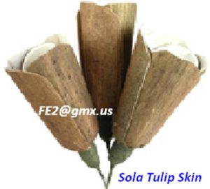 SOLA TULIP SKIN