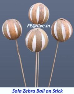 SOLA ZEBRA BALL 6 CM. ON STICK