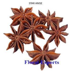 STAR ANISE