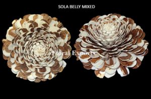 Sola Belly Mixed A