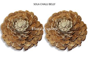 Sola Chali Belly