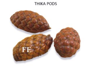 THIKA POD