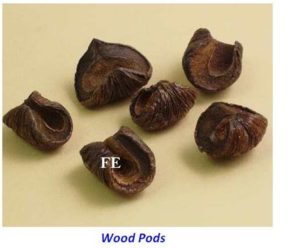 Wood Pods