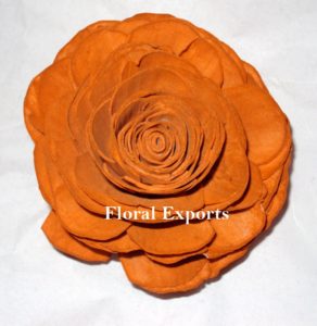 sola beauti rose colour3