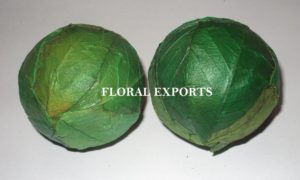 AMRITA LEAF COLOUR BALL